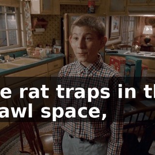the rat traps in the crawl space,