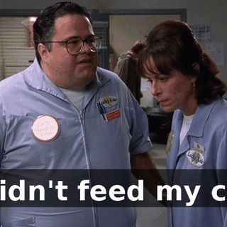 I didn't feed my cat.