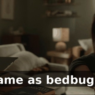 same as bedbugs.
