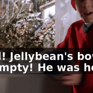 Dad! Jellybean's bowl is empty! He was here!