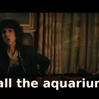 Call the aquarium!