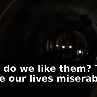 Why do we like them? They make our lives miserable.