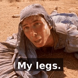 My legs.