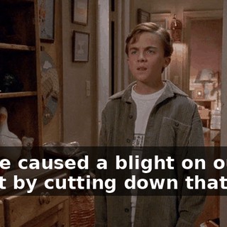 bfca0273-5d5b-4ee1-8e8b-f145dc59fa64.gif