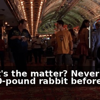 What's the matter? Never seen an 80-pound rabbit before?