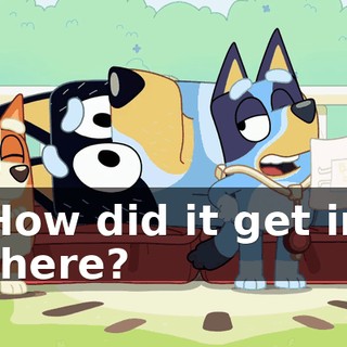 How did it get in there?