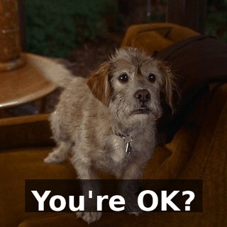 c0185473-2937-41b3-9ac4-7cbdbd129338.gif