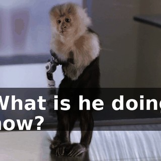 c01d2a63-2e83-4168-868b-5bd0a86817e0.gif