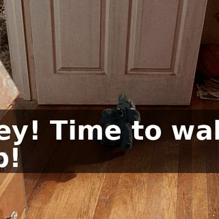 c0219d72-40dd-4cbc-9c12-7a7df1cf659d.gif