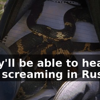They'll be able to hear him screaming in Russia.