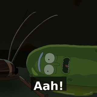 c0527303-55b9-4695-92c4-8ea51a769e6b.gif