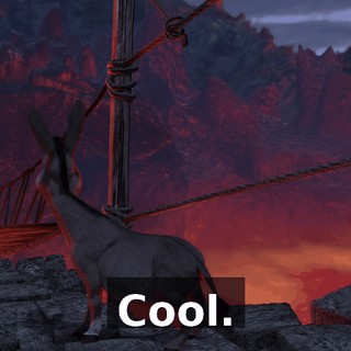 Cool.