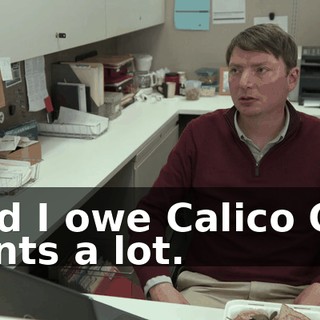 And I owe Calico Cut Pants a lot.