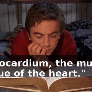 "Myocardium, the muscle tissue of the heart."