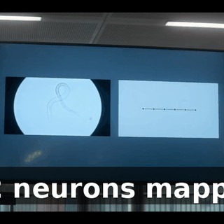 c15d4311-a859-4d4f-9e02-044f31ba04e9.gif