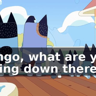 Bingo, what are you doing down there?!