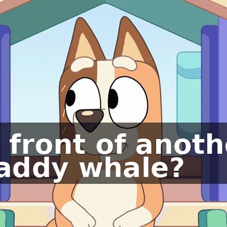 c1a5f45c-31b1-4807-8e61-ee76826d4ea5.gif