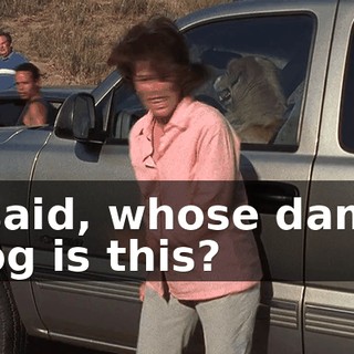 I said, whose damn dog is this?