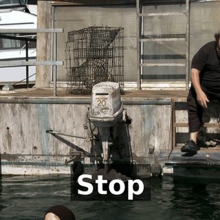 c1ae16c5-00f6-495f-be8f-1ba30b1ad128.gif
