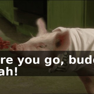Here you go, buddy. Yeah!
