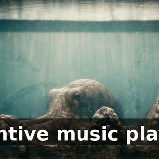 c1c47e41-b54b-4f94-b376-b3bcc4895528.gif