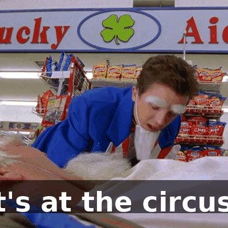 It's at the circus!