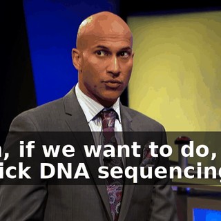 c1efae80-80f3-43e4-a16c-381aa3c0b388.gif