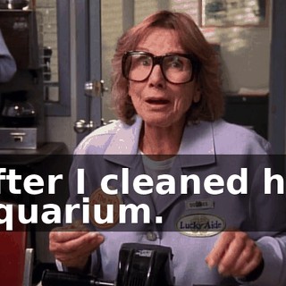after I cleaned his aquarium.