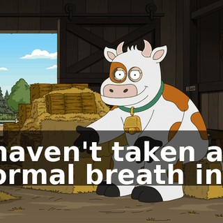 c222e976-4ddb-446c-82a1-152c1d8bcb62.gif