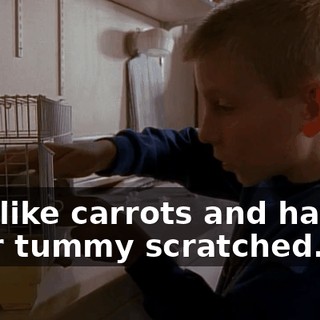 You like carrots and having your tummy scratched.