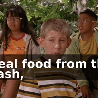 steal food from the trash,