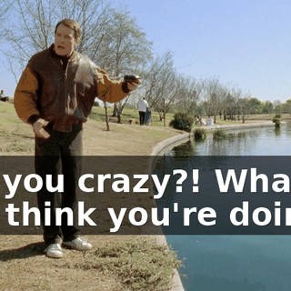 Are you crazy?! What do you think you're doing?!