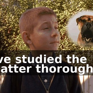 I've studied the matter thoroughly