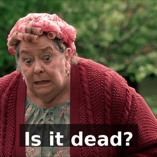Is it dead?