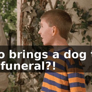Who brings a dog to a leg funeral?!