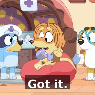 c33a9995-3a98-47dd-99b7-c55f8f535571.gif