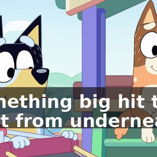 c352ed52-8f8d-4ded-9f81-fdacf5501e1a.gif