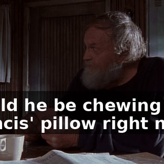 would he be chewing on Francis' pillow right now?
