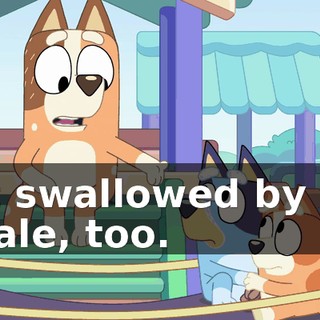 c42818cb-0925-4328-b8f6-b83b980b206c.gif
