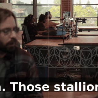 Ah. Those stallions.