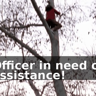 Officer in need of assistance!