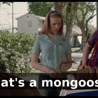 c4674109-7d78-4ea3-9594-abed7dfeda91.gif