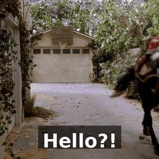 Hello?!