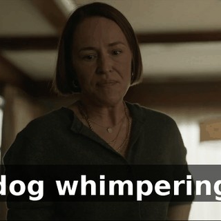 [dog whimpering]