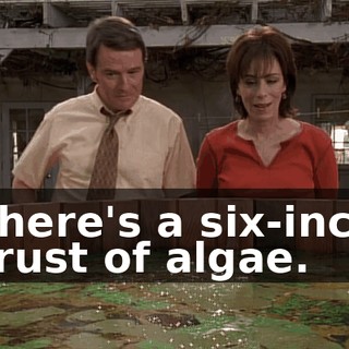 There's a six-inch crust of algae.