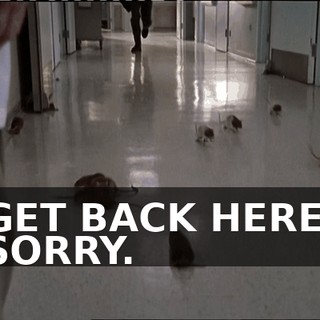 c4e28b3f-7dc7-417d-895b-37e55eb50e75.gif
