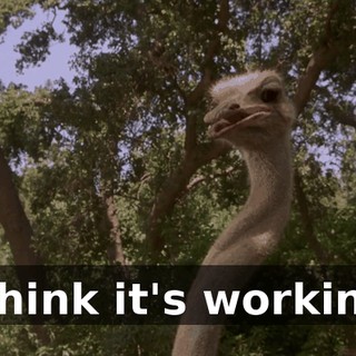c4e379a7-8cd6-490f-9534-19e8ef68417d.gif
