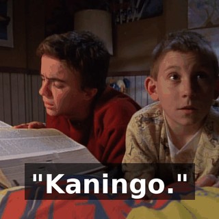 "Kaningo."
