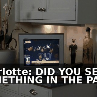 Charlotte: DID YOU SEE SOMETHING IN THE PARK?
