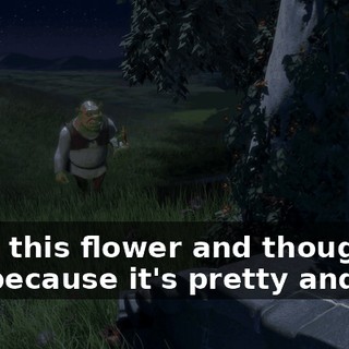 I saw this flower and thought of you because it's pretty and...
